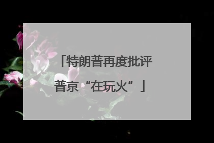 特朗普再度批评普京“在玩火”