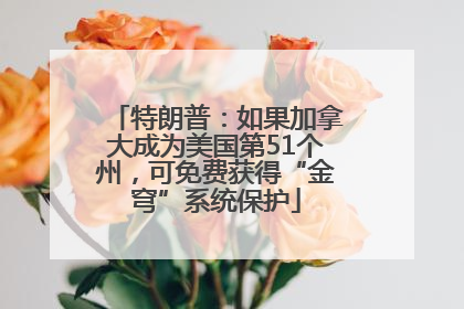特朗普：如果加拿大成为美国第51个州，可免费获得“金穹”系统保护