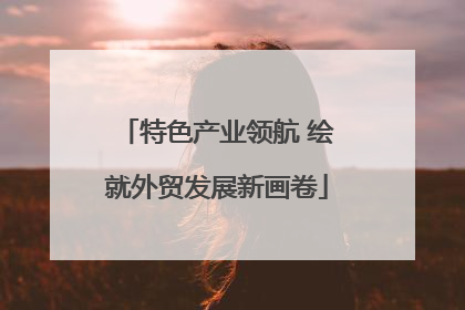 特色产业领航 绘就外贸发展新画卷