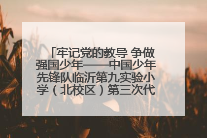 牢记党的教导 争做强国少年——中国少年先锋队临沂第九实验小学（北校区）第三次代表大会胜利召开