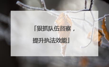 狠抓队伍督察，提升执法效能