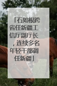 石如根跨省任新疆工信厅副厅长，连续多名年轻干部调任新疆