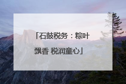 石鼓税务：粽叶飘香 税润童心