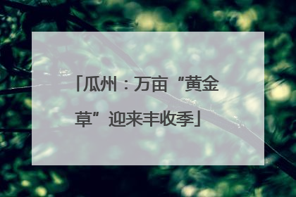 瓜州：万亩“黄金草”迎来丰收季