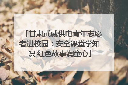 甘肃武威供电青年志愿者进校园：安全课堂学知识 红色故事润童心