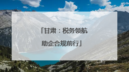 甘肃：税务领航 助企合规前行
