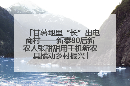 甘薯地里“长”出电商村——新泰80后新农人张甜甜用手机新农具撬动乡村振兴