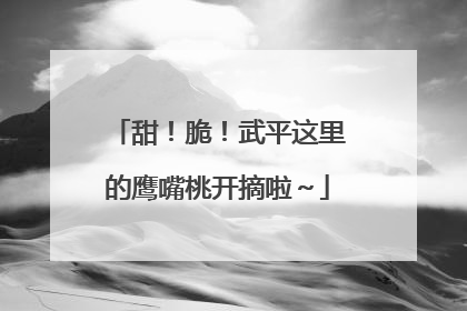 甜！脆！武平这里的鹰嘴桃开摘啦～