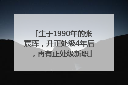生于1990年的张宸珲，升正处级4年后，再有正处级新职