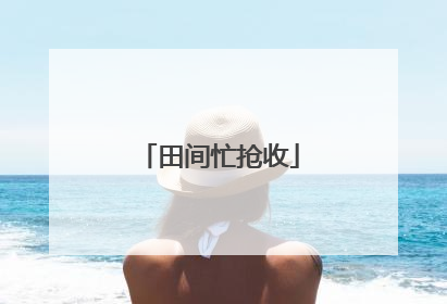 田间忙抢收