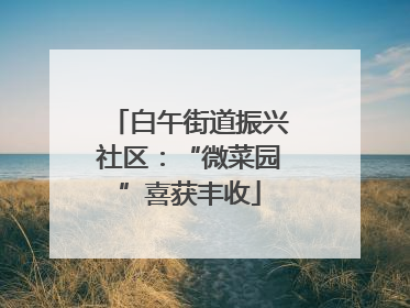 白午街道振兴社区：“微菜园”喜获丰收