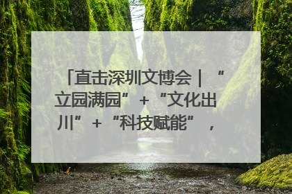 直击深圳文博会｜“立园满园”+“文化出川”+“科技赋能”，成都传媒发布三大文创领域合作清单