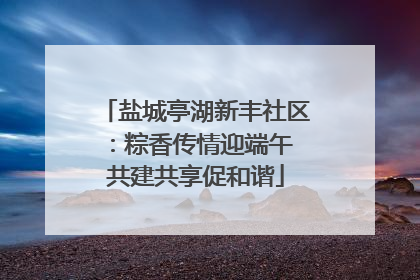 盐城亭湖新丰社区：粽香传情迎端午 共建共享促和谐