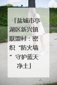 盐城市亭湖区新兴镇联盟村：密织“防火墙”守护蓝天净土