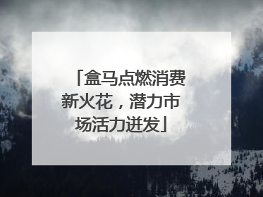 盒马点燃消费新火花，潜力市场活力迸发