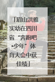 眉山洪雅实幼在四川省“奔跑吧•少年”体育大会中获佳绩
