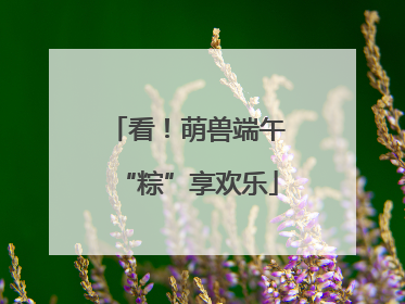 看！萌兽端午“粽”享欢乐