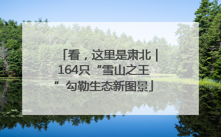 看，这里是肃北｜164只“雪山之王”勾勒生态新图景
