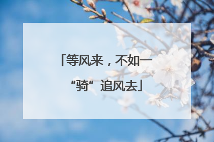 等风来，不如一“骑”追风去