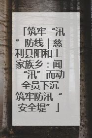 筑牢“汛”防线｜慈利县阳和土家族乡：闻“汛”而动 全员下沉筑牢防汛“安全堤”