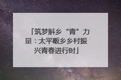 筑梦斛乡“青”力量：太平畈乡乡村振兴青春进行时