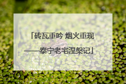 砖瓦重吟 烟火重现——泰宁老宅涅槃记