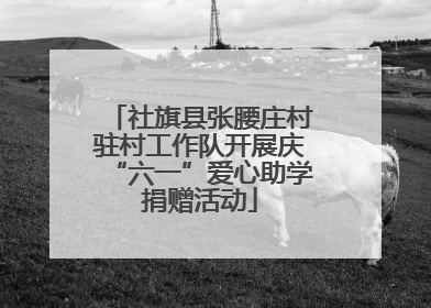 社旗县张腰庄村驻村工作队开展庆“六一”爱心助学捐赠活动