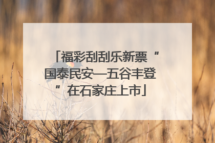 福彩刮刮乐新票“国泰民安—五谷丰登”在石家庄上市