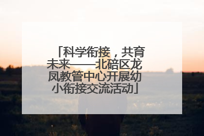 科学衔接，共育未来——北碚区龙凤教管中心开展幼小衔接交流活动