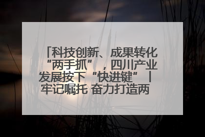 科技创新、成果转化“两手抓”，四川产业发展按下“快进键”丨牢记嘱托 奋力打造两高地两基地一屏障