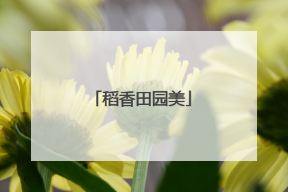 稻香田园美