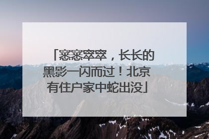 窸窸窣窣，长长的黑影一闪而过！北京有住户家中蛇出没
