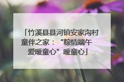 竹溪县县河镇安家沟村童伴之家：“粽情端午 爱暖童心”暖童心