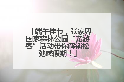 端午佳节，张家界国家森林公园“宠游客”活动带你解锁松弛感假期！