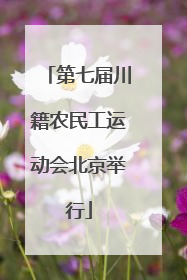第七届川籍农民工运动会北京举行