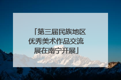 第三届民族地区优秀美术作品交流展在南宁开展