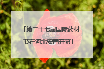 第二十七届国际药材节在河北安国开幕