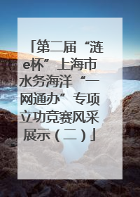 第二届“涟e杯”上海市水务海洋“一网通办”专项立功竞赛风采展示（二）