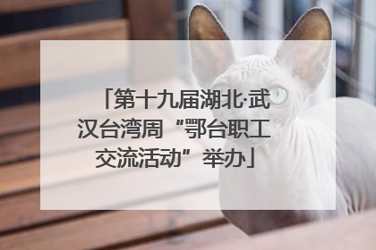 第十九届湖北·武汉台湾周“鄂台职工交流活动”举办
