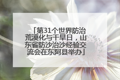 第31个世界防治荒漠化与干旱日，山东省防沙治沙经验交流会在东阿县举办