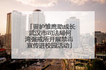 翼护雏鹰助成长 武汉市司法局何湾强戒所开展禁毒宣传进校园活动