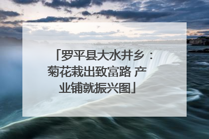 罗平县大水井乡：菊花栽出致富路 产业铺就振兴图