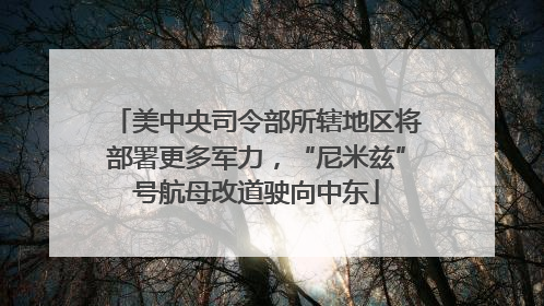 美中央司令部所辖地区将部署更多军力，“尼米兹”号航母改道驶向中东