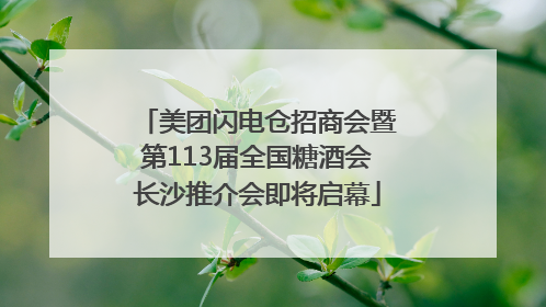 美团闪电仓招商会暨第113届全国糖酒会长沙推介会即将启幕