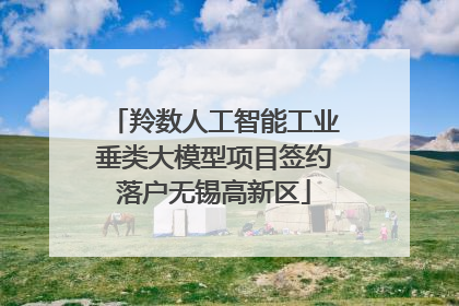 羚数人工智能工业垂类大模型项目签约落户无锡高新区