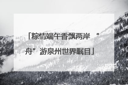 粽情端午香飘两岸 “舟”游泉州世界瞩目