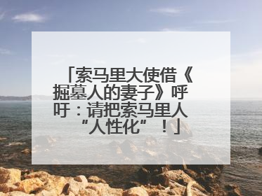索马里大使借《掘墓人的妻子》呼吁：请把索马里人“人性化”！