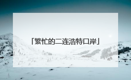 繁忙的二连浩特口岸