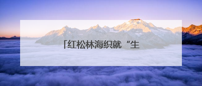红松林海织就“生态+”富民画卷