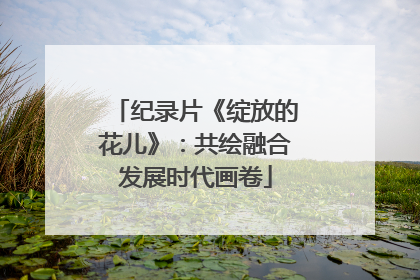 纪录片《绽放的花儿》：共绘融合发展时代画卷